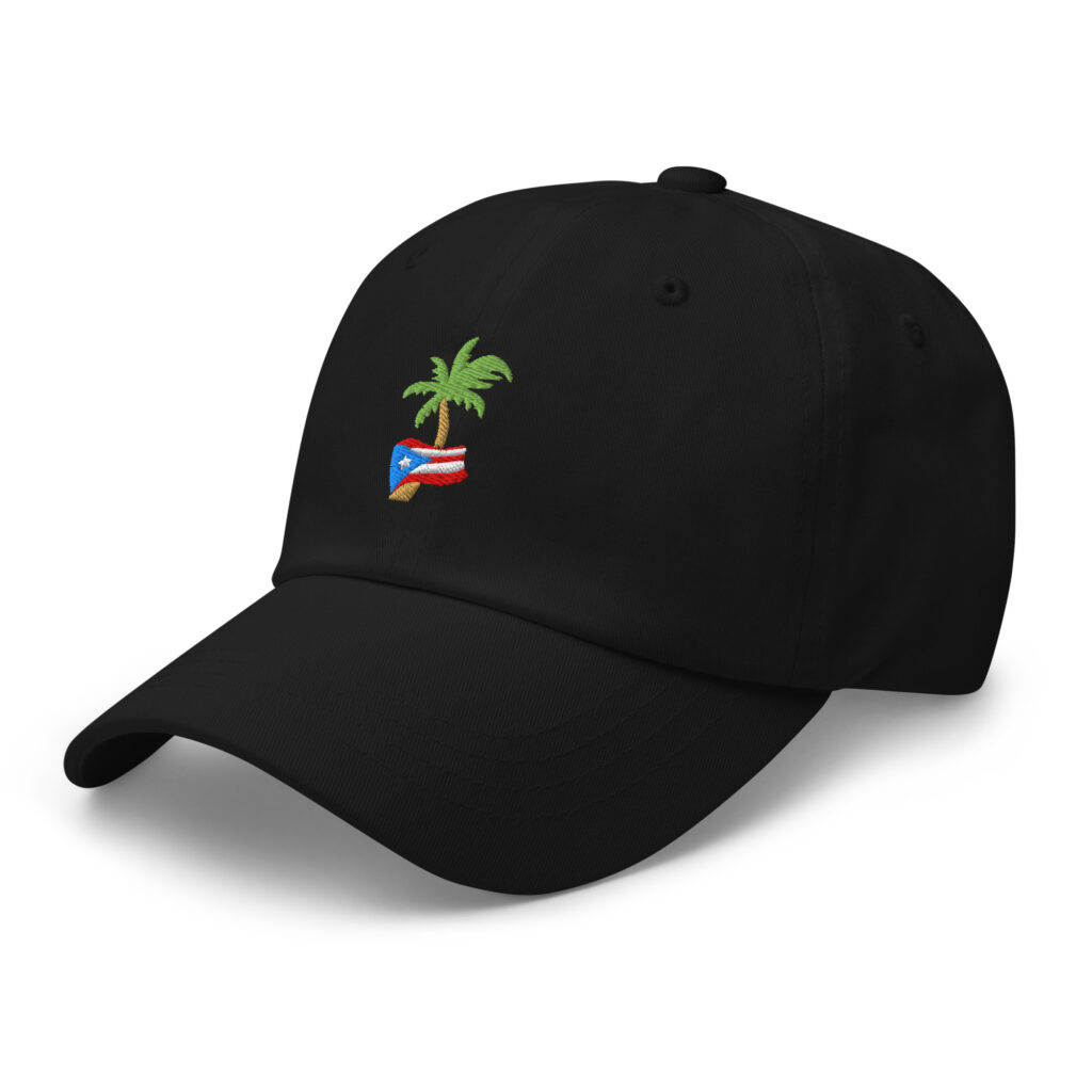 PR PALM - Dad hat